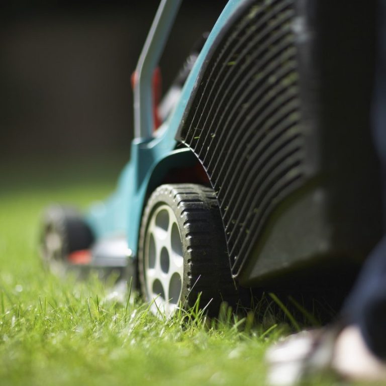 Close-up of a lawn mower cutting grass, focusing on the wheel and grass blades.
