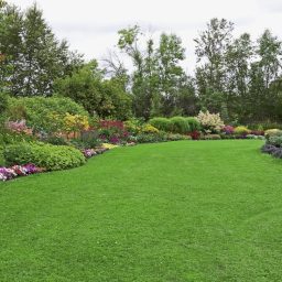 Lush green lawn surrounded by colourful flower beds and trees.