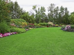 Lush green garden with colourful flowers and manicured trees.