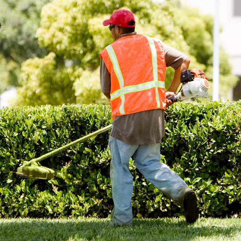 A man in a safety vest using a grass trimmer on a well-maintained hedge.
