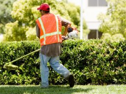 A worker in a safety vest trims a hedge with a lawn tool.