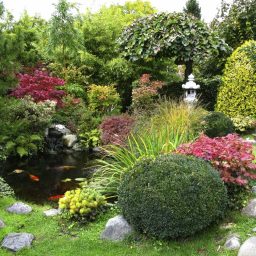 Lush garden with colourful flowers, a pond, and ornamental trees.
