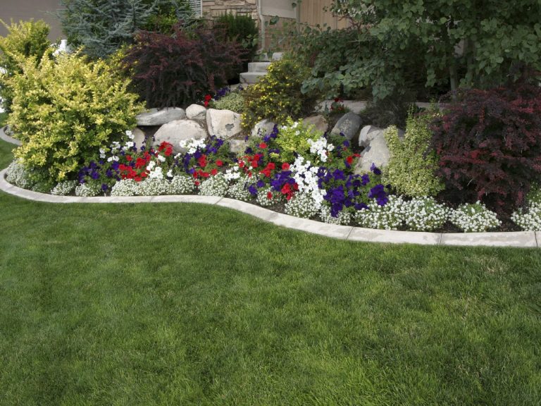 Vibrant flowerbed featuring colourful blooms, rocks, and lush green grass.