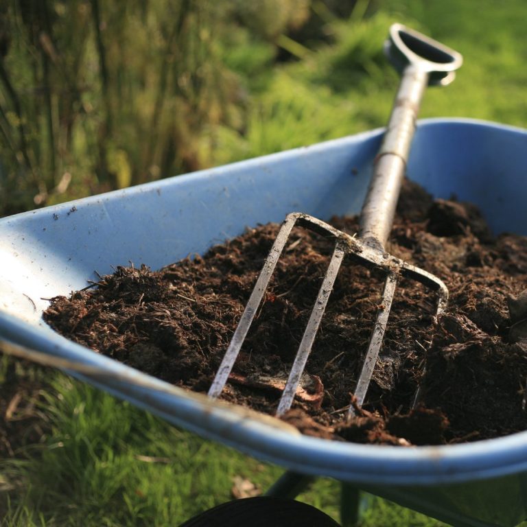 A metal garden fork resting in a wheelbarrow filled with soil.