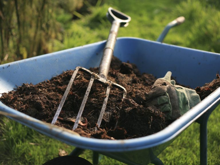 A wheelbarrow filled with soil, a gardening fork, and a green glove.
