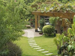 Lush garden path with stepping stones winding through greenery and wooden pergola.